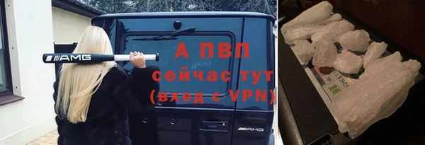 стаф Вязники