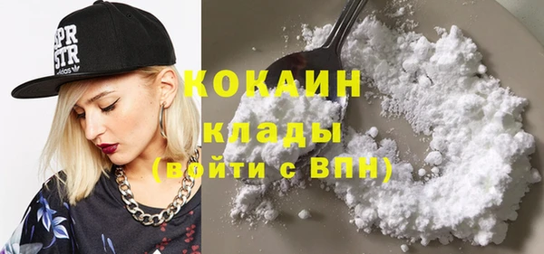 стаф Вязники