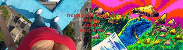 мет Горнозаводск